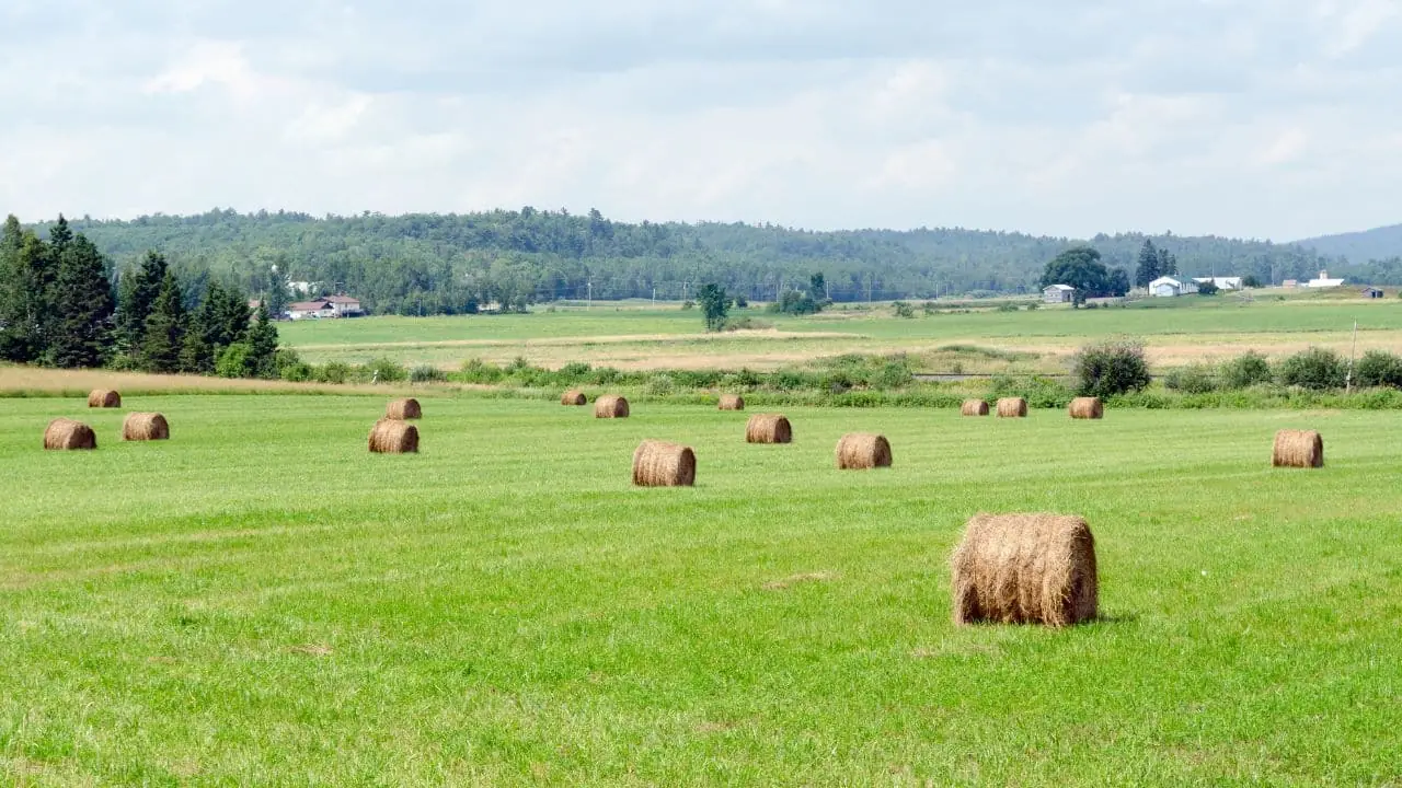 Rural & acreage